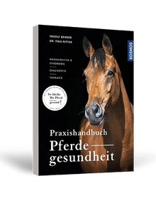 Buch: Praxishandbuch Pferdegesundheit