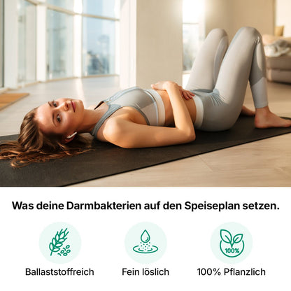 Resistente Stärke Typ 3 Pulver -Heidelberger Chlorella GmbH
