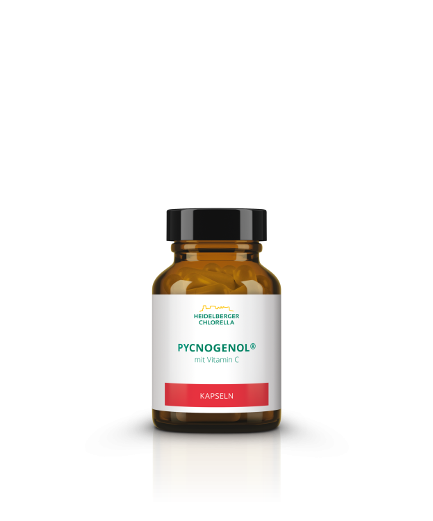 Pycnogenol® Kapseln